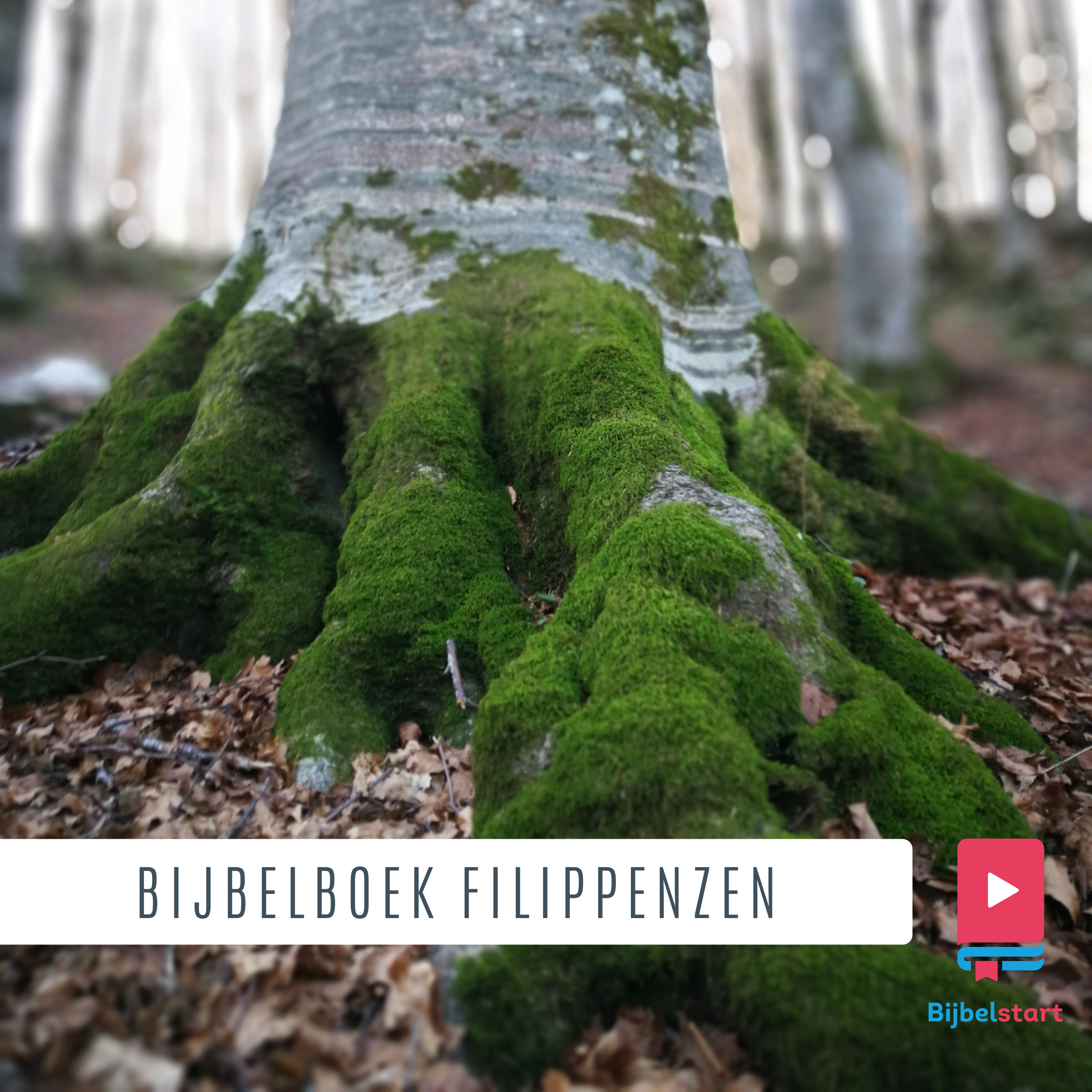 Bijbelboek Filippenzen